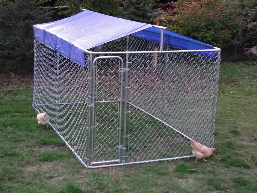 DIY Dog Kennel Roof
 Dog Kennel Roof Cover Ideas