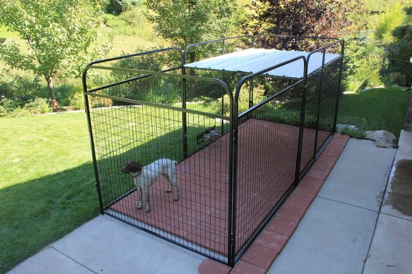 DIY Dog Kennel Roof
 Dog Pen Ideas Giving Your Best Friend His Very Own Play