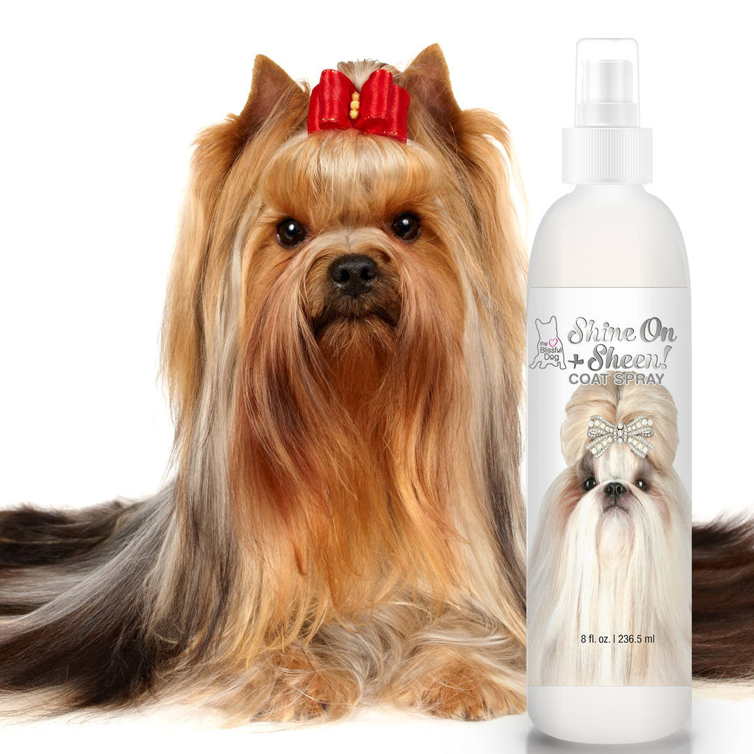 DIY Dog Leave In Conditioner Spray
 Blissfully Clean Dogs SHINE ON SHEEN Dog Coat Spray Leave