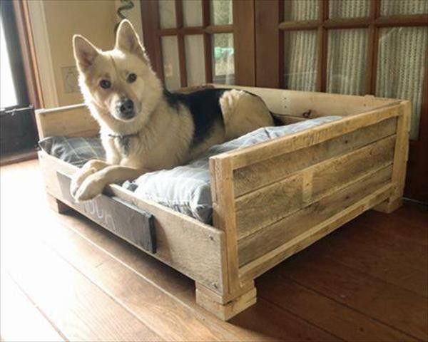 DIY Dog Pallet Bed
 8 DIY Pallet Beds For Dogs