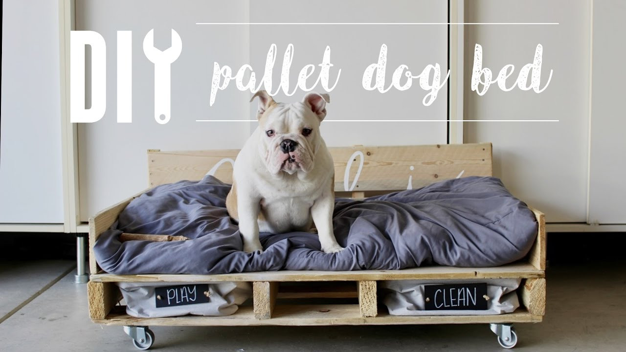 DIY Dog Pallet Bed
 DIY Pallet Dog Bed Home Depot
