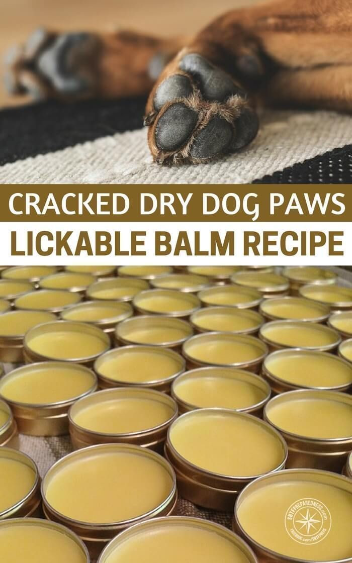 DIY Dog Paw Balm
 DIY Dog Paw Balm Soothing Recipe DOG MOM LIFE