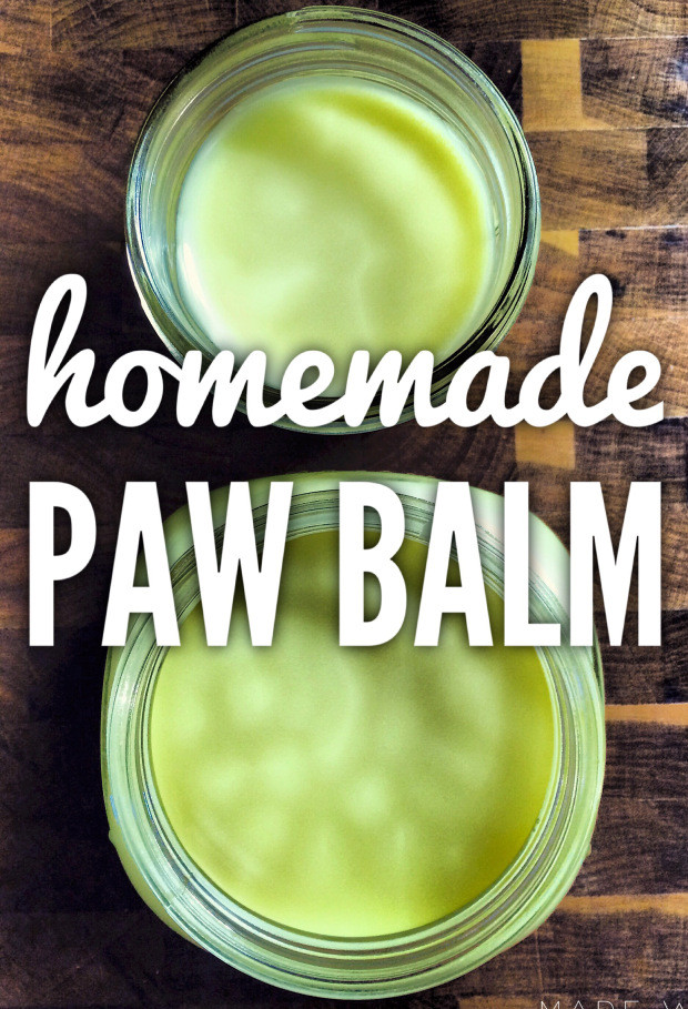 DIY Dog Paw Balm
 A Muddy Playdate and Homemade Paw Balm Recipe – Halifax