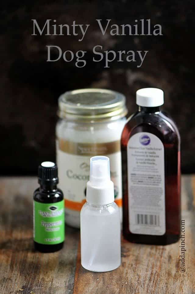 DIY Dog Perfume
 Minty Vanilla Dog Spray Add a Pinch