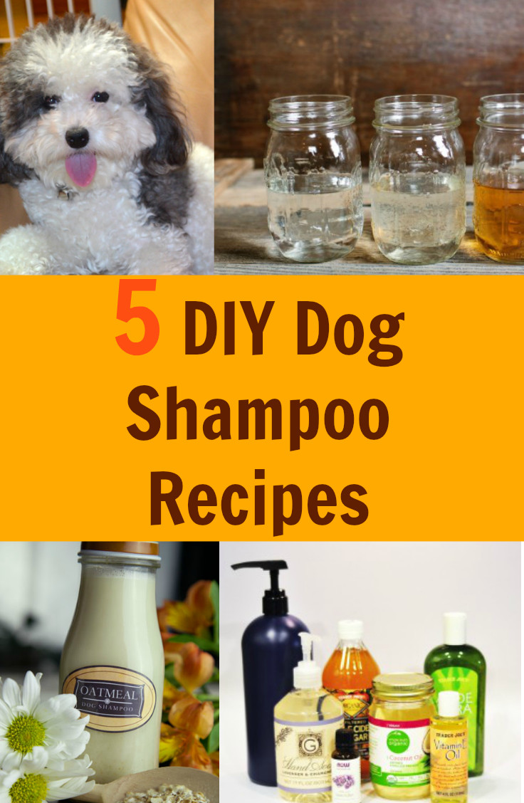 DIY Dog Perfume
 5 DIY Dog Shampoo Recipes Fabulessly Frugal