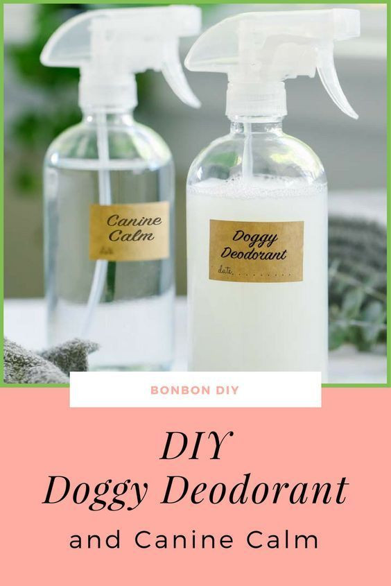 DIY Dog Perfume
 Homemade Dog Odor Spray