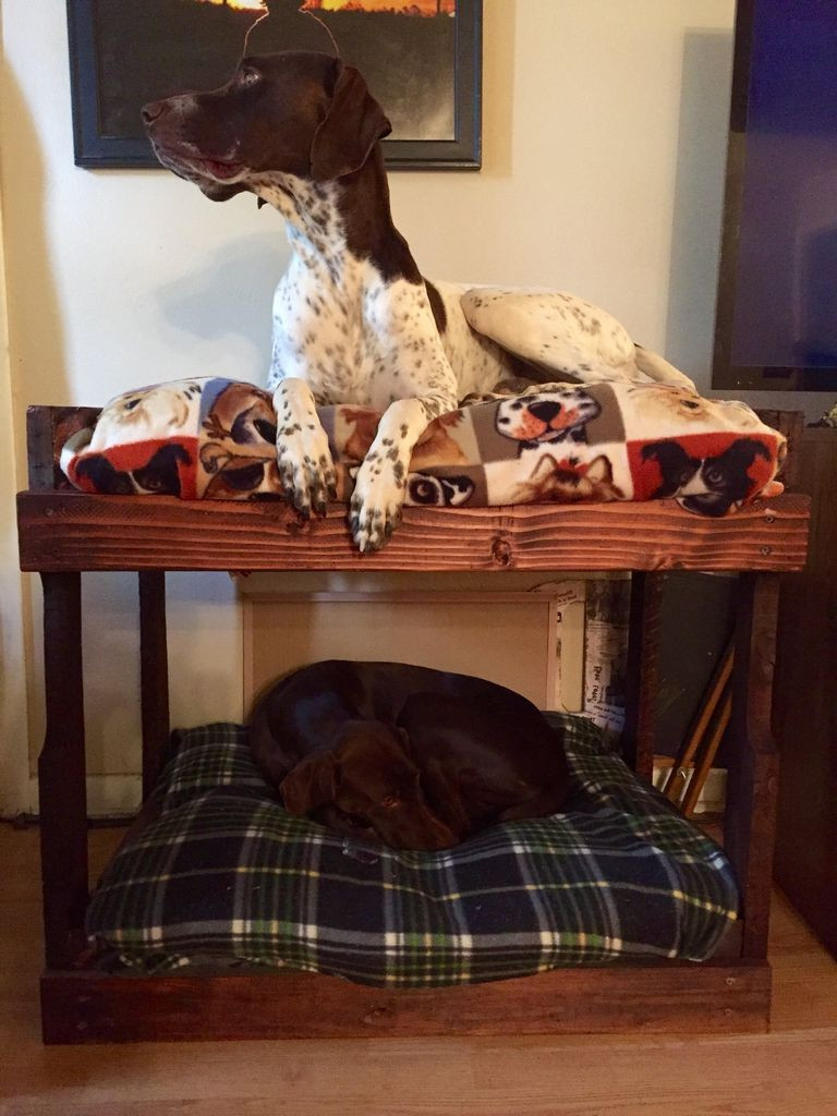 DIY Dog Platform
 Amazing Dog Bed Drawer How To Make A Dog Bed Out A