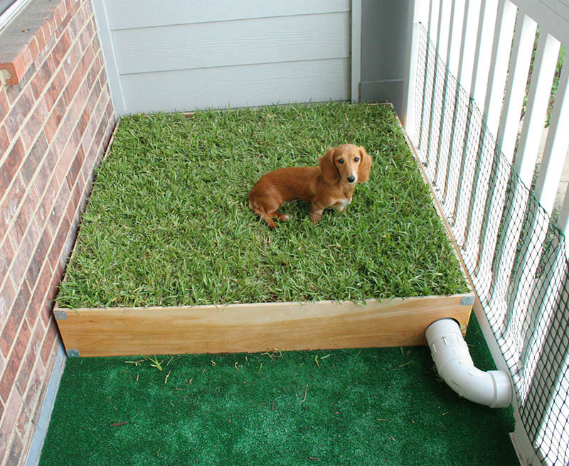 DIY Dog Potty
 14 DIY Dog Porch Potty & Grass Box Projects
