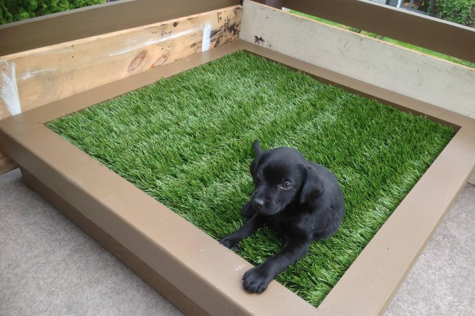 DIY Dog Potty
 DIY Porch Potty Is The Ultimate Solution For City Dogs
