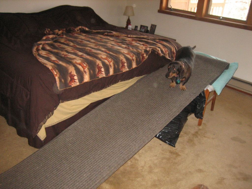 DIY Dog Ramp For High Bed
 Diy Dog Ramp For Bed korrectkritters