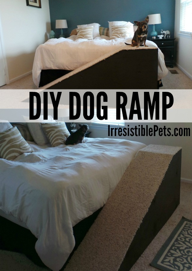 DIY Dog Ramp For High Bed
 DIY Dog Ramp Irresistible Pets