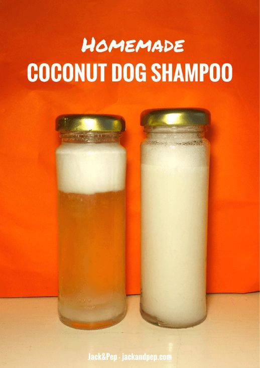 DIY Dog Shampoo With Coconut Oil
 Homemade Coconut Oil Dog Shampoo Alternative DIY