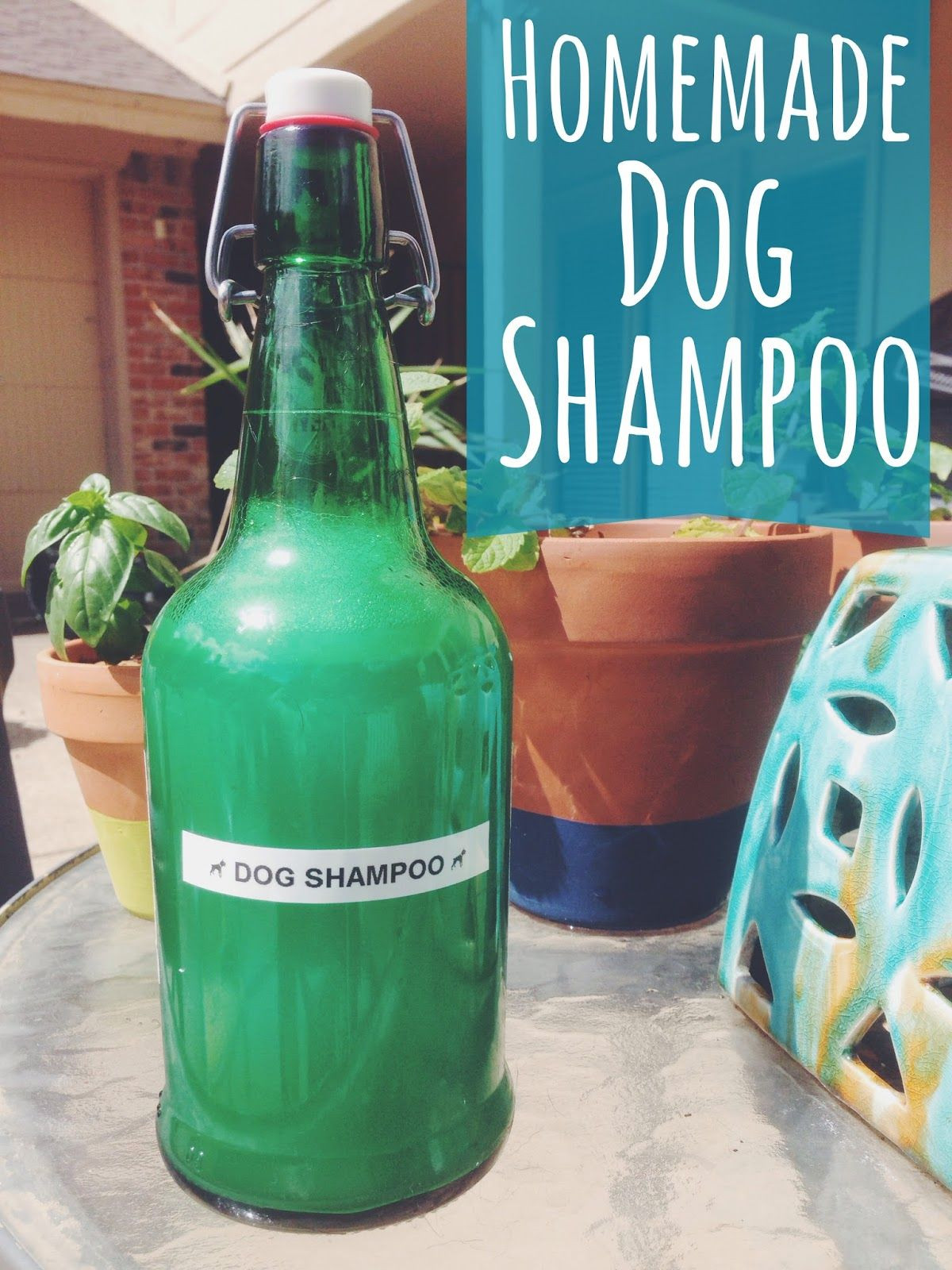 DIY Dog Shampoo With Coconut Oil
 Something refresihn we can make for our pup homemade dog