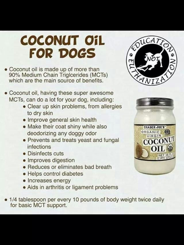 DIY Dog Shampoo With Coconut Oil
 Coconut Oil Pet Care Pinterest
