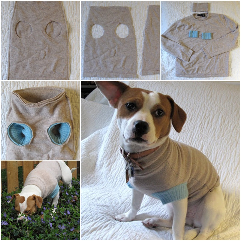 DIY Dog Shirt
 DIY Upcycle old Sweater into Cute Pet Clothes