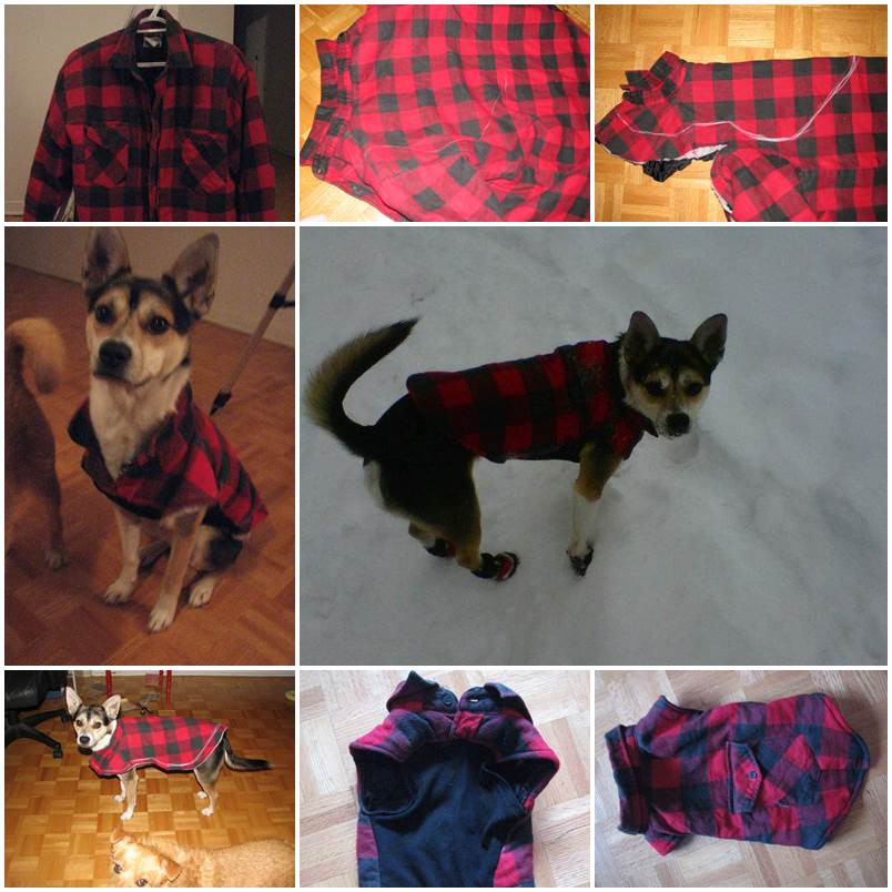 DIY Dog Shirt
 DIY Easy Dog Fleece Jacket