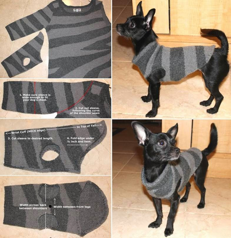 DIY Dog Shirt
 How to Make a Sweater for Your Dog NO SEW DIY Craft
