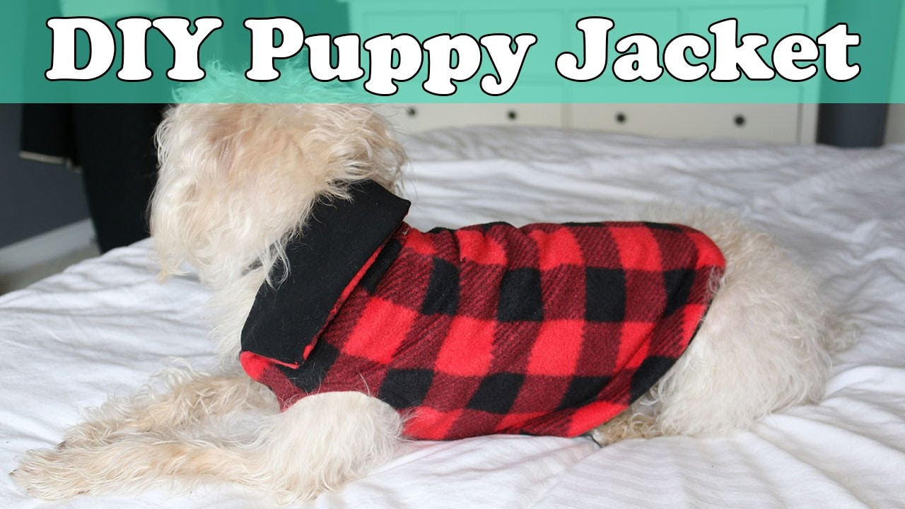 DIY Dog Shirt
 Quick and Easy DIY Puppy Jacket Coat
