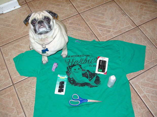 DIY Dog Shirt
 Doggie T Shirt
