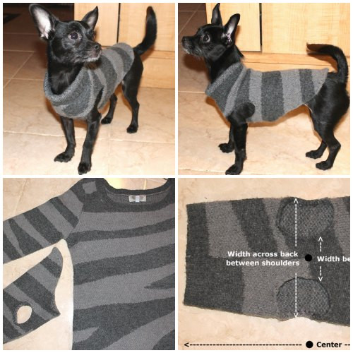 DIY Dog Shirt
 Upcycled DIY Dog Sweater