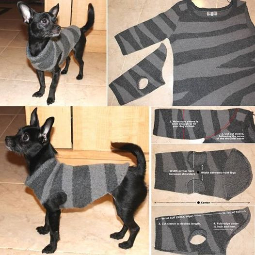 DIY Dog Shirt
 Wonderful DIY Recycled Dog and Cat Sweater