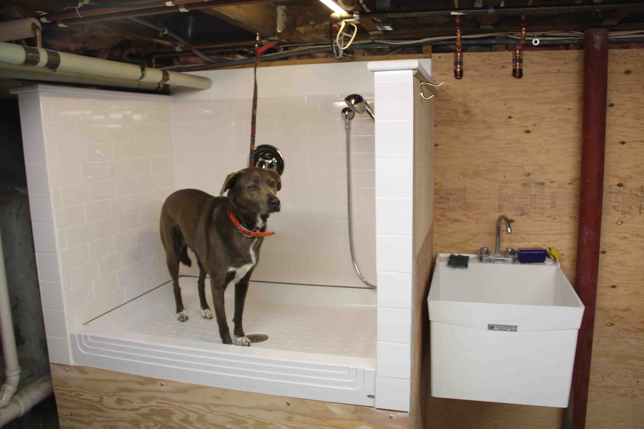 DIY Dog Shower
 How To Build A Dog Wash Station DIY Pets