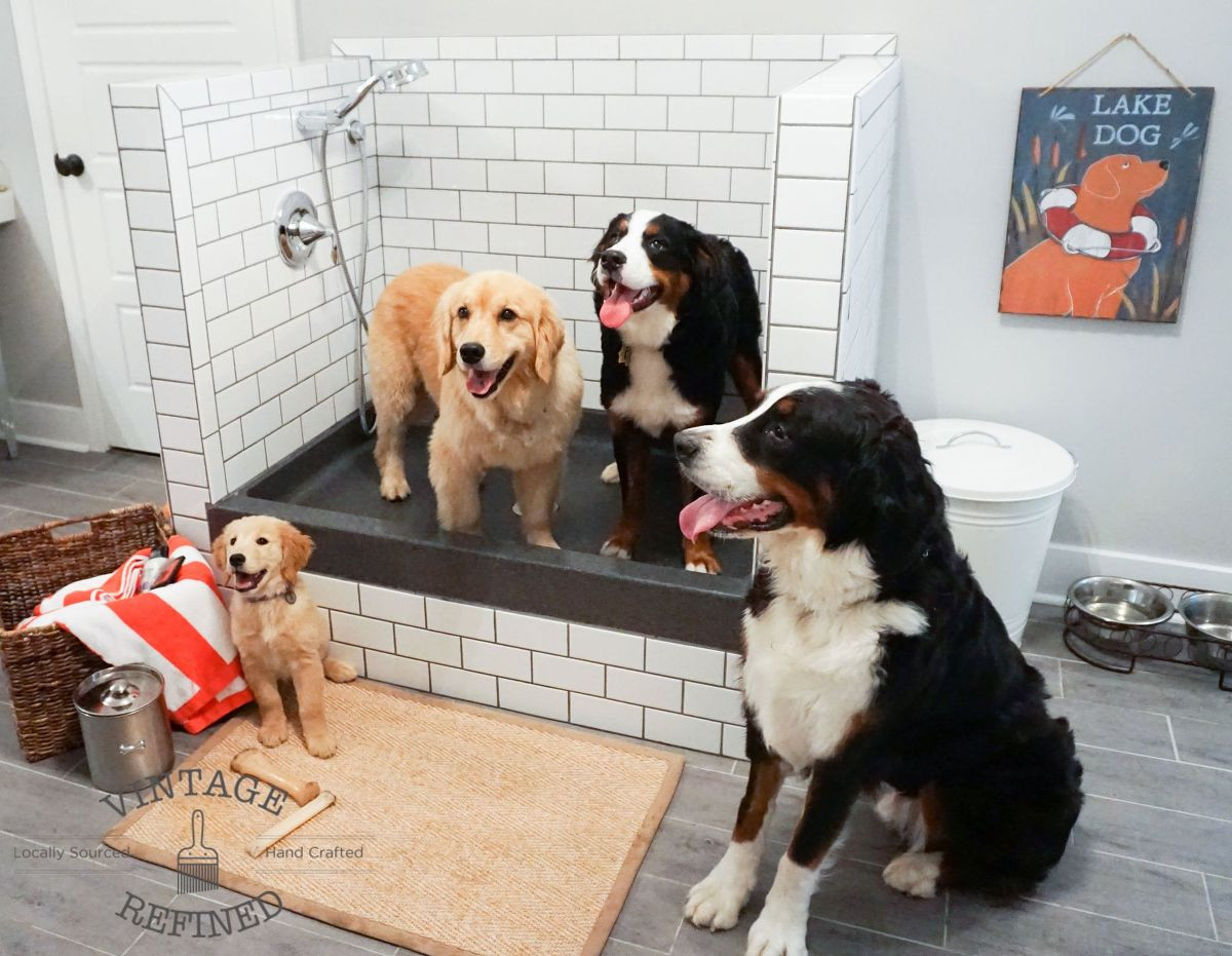 DIY Dog Shower
 Hometalk