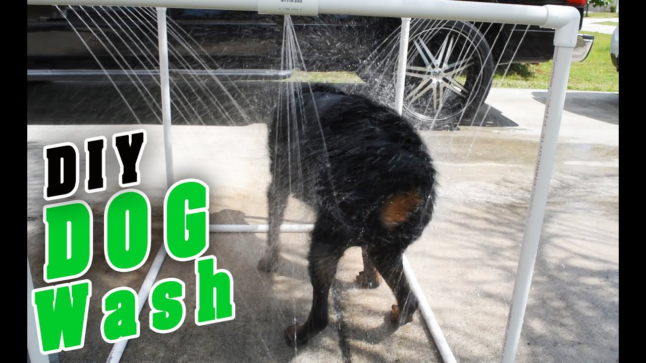 DIY Dog Shower
 DIY PVC Outdoor dog Shower