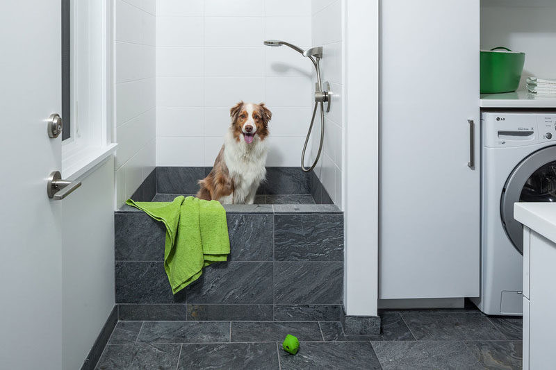 DIY Dog Shower
 5 Benefits Having A Dog Wash Station In Your Home