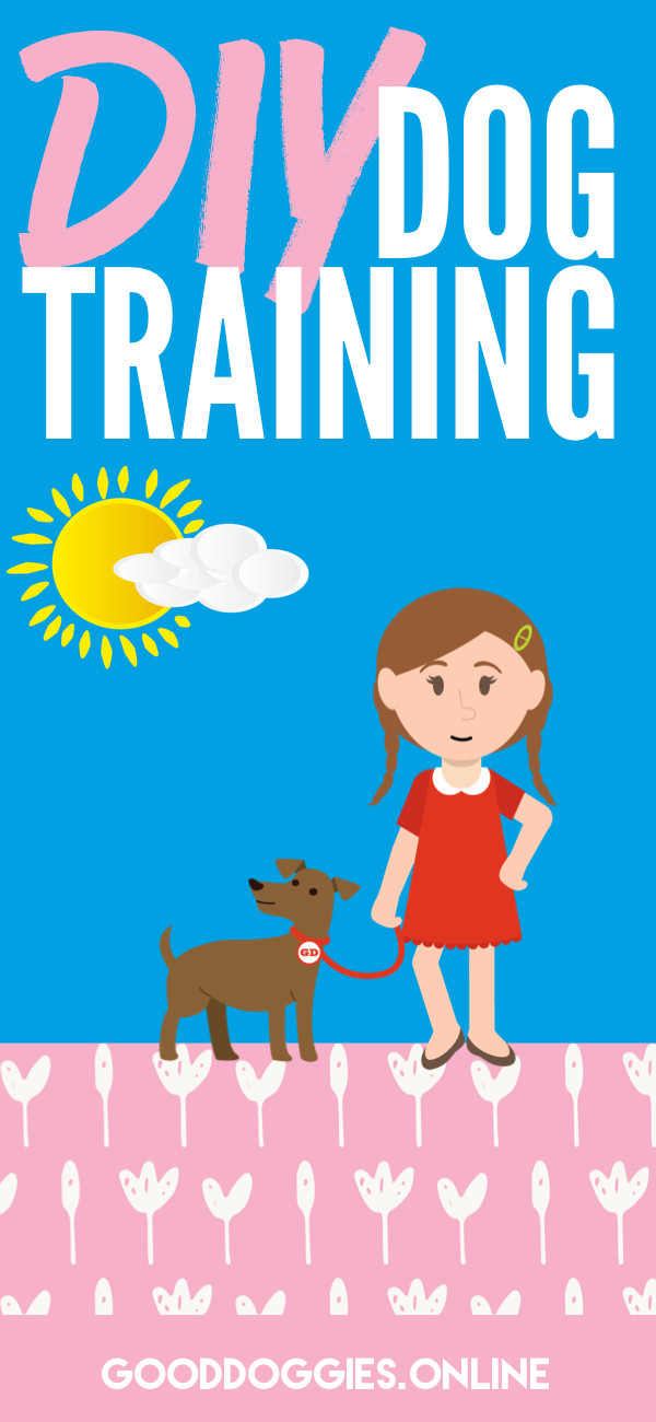 DIY Dog Training
 10 Reasons Why DIY Dog Training Will Make You Love Your