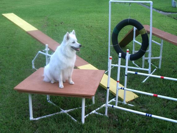 DIY Dog Training
 Dog Agility Equipment Construction Instruction Booklet