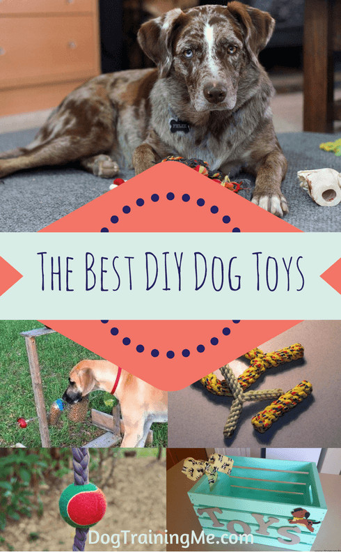 DIY Dog Training
 The Best DIY Dog Toys From Easy to Indestructible