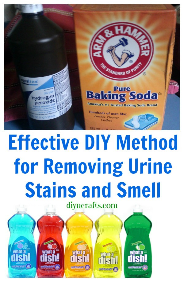 DIY Dog Urine Odor Remover
 Effective DIY Method for Removing Urine Stains and Smell