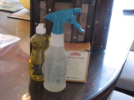 DIY Dog Urine Odor Remover
 Pet Stain Odor Remover For Carpet Recipe