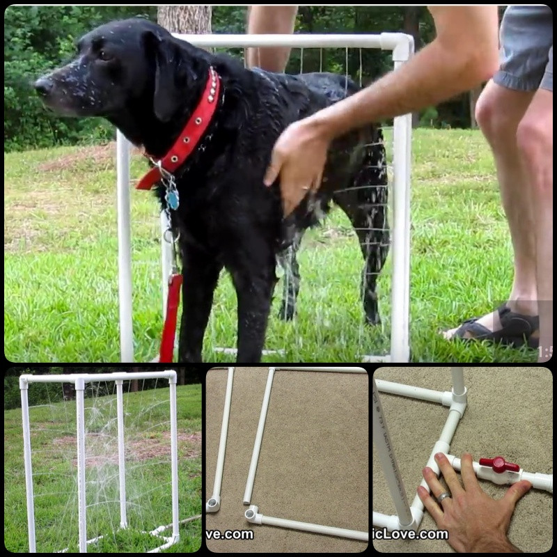 DIY Dog Wash
 DIY Custom Dog Washer Out of PVC Piping Video