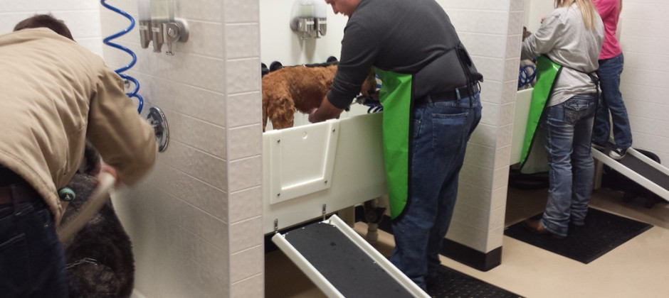 DIY Dog Wash
 The Puddle