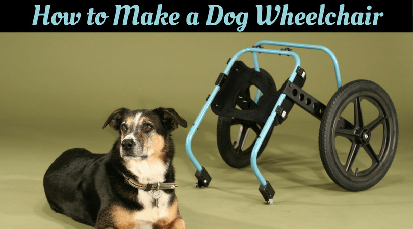 DIY Dog Wheelchair For Front Legs
 How to Make a Dog Wheelchair – Your Own DIY Wheelchair