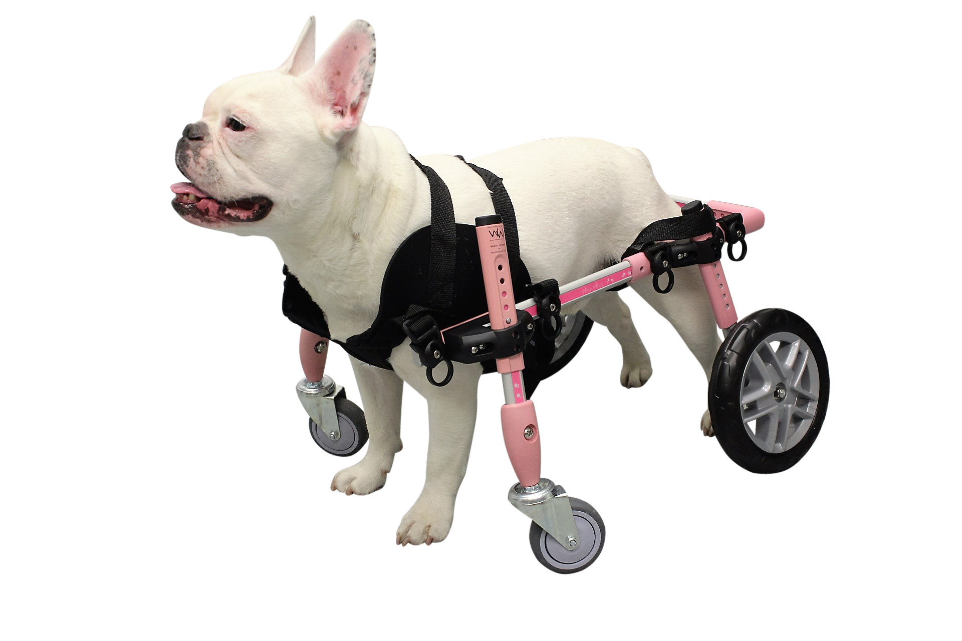 DIY Dog Wheelchair For Front Legs
 Dog Wheelchair Harness
