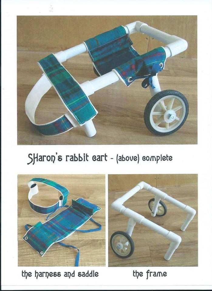DIY Dog Wheelchair For Front Legs
 rabbit wheelchair part 1