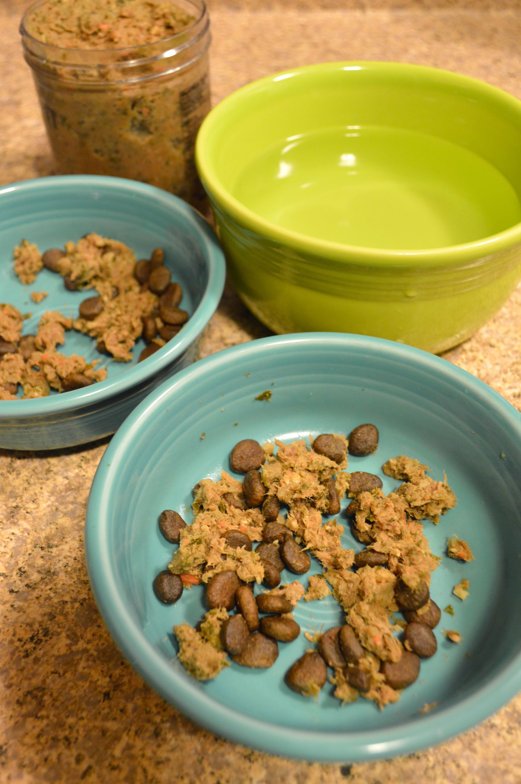 DIY Dry Dog Food
 homemade dog food