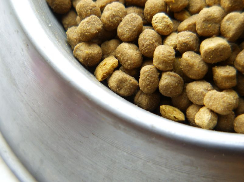 DIY Dry Dog Food
 The Scoop on Homemade Dry Dog Food Benefits & Recipe