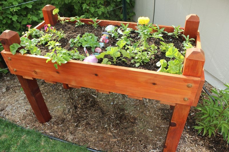 DIY Elevated Planter Box
 DIY Raised Planter Box – A Step by Step Building Guide