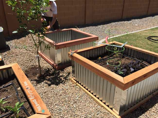DIY Elevated Planter Box
 DIY Raised Garden Beds with Corrugated Metal
