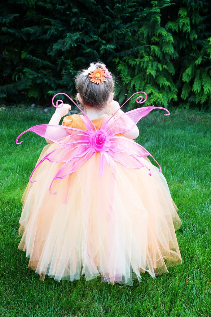 DIY Fairy Costumes For Kids
 Easy Fairy Costume