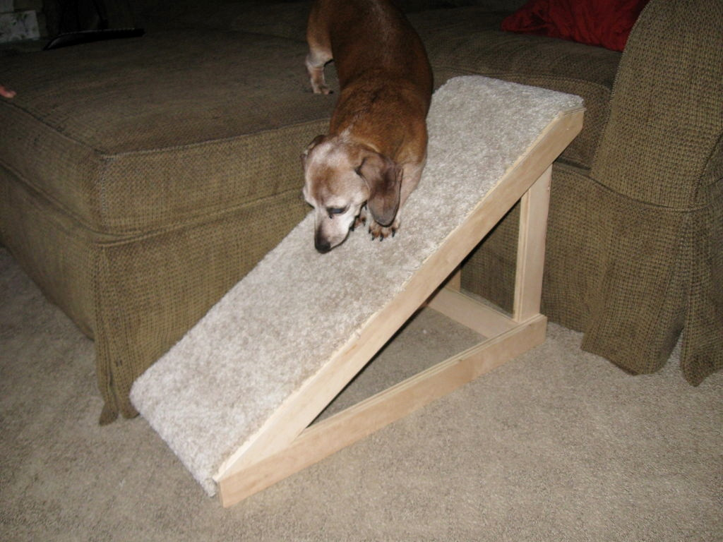 DIY Folding Dog Ramp
 DIY Dog Ramp petdiys