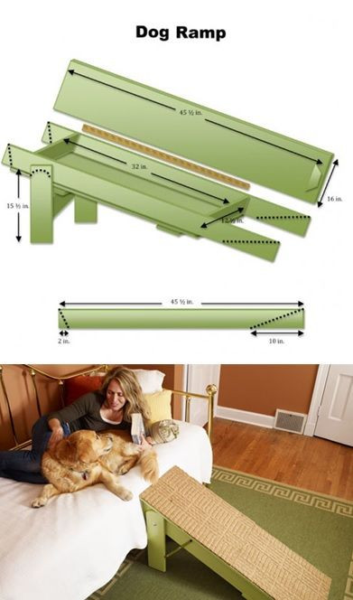 DIY Folding Dog Ramp
 How to Build a Dog Ramp DIY Projects