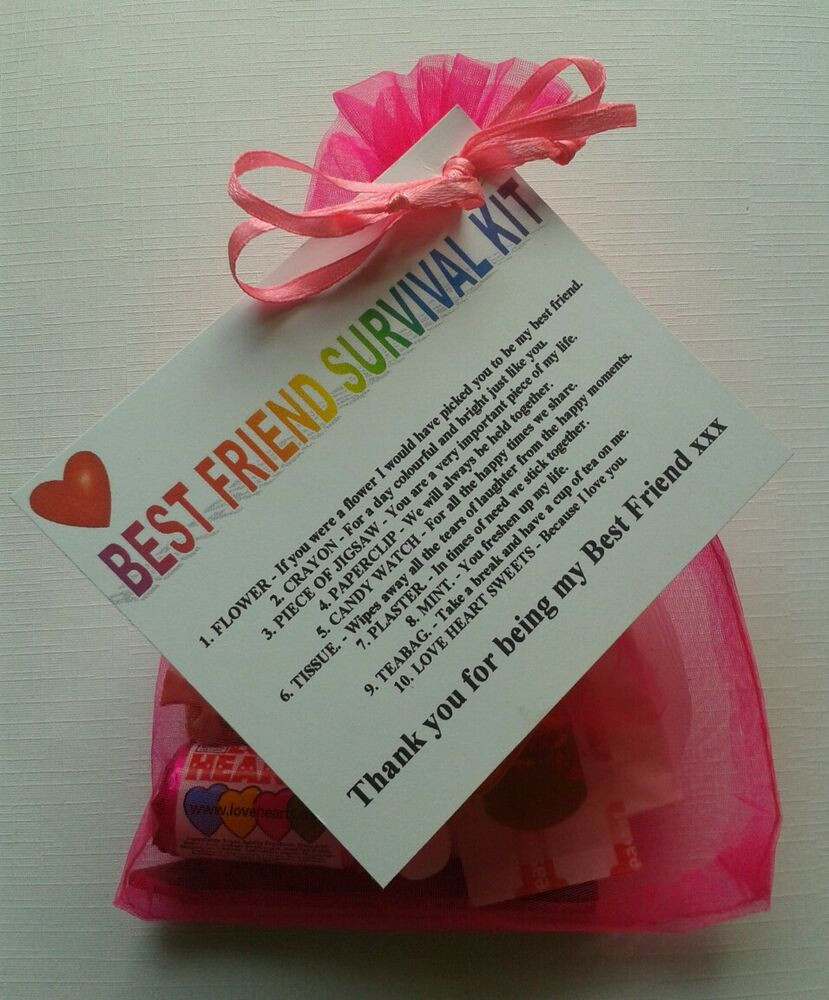 Diy Gift Ideas For Best Friend
 BEST FRIEND Survival Kit Birthday Keepsake Gift Present
