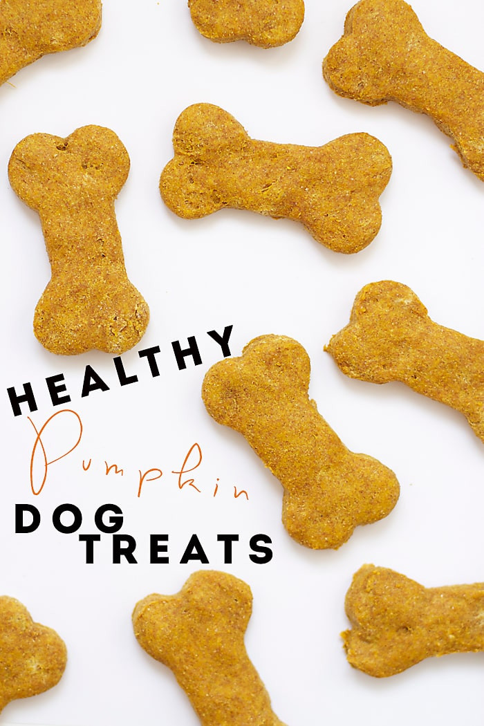 DIY Healthy Dog Treats
 Healthy Pumpkin Dog Treats
