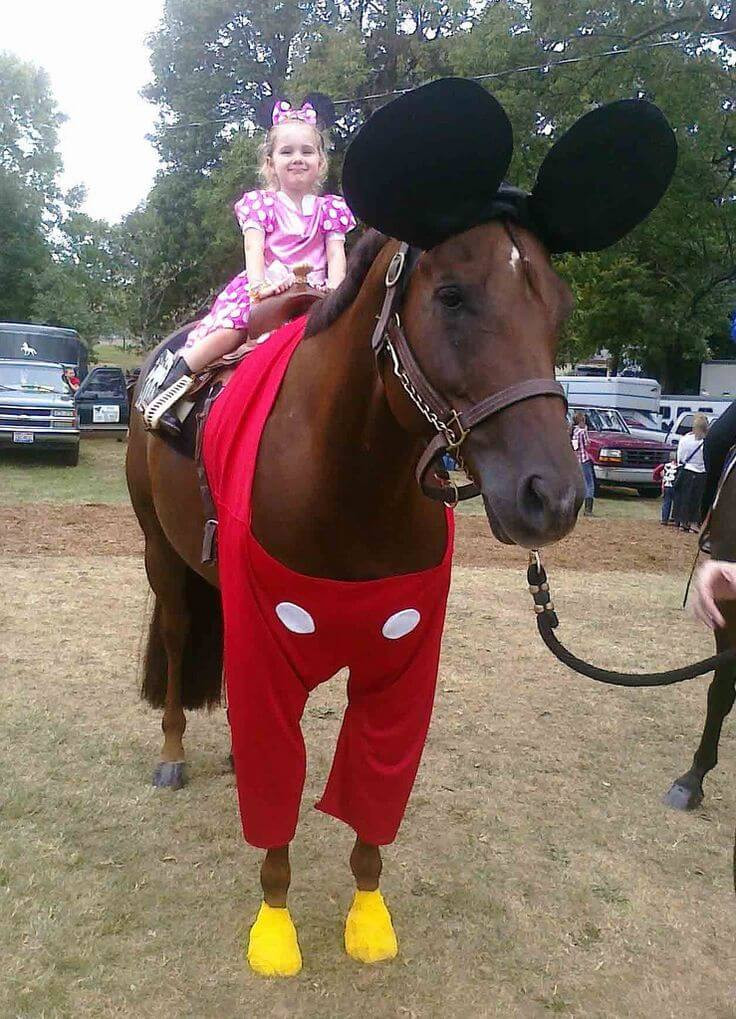 DIY Horse Costumes
 10 Horses Dressed as Well Known Movie Characters