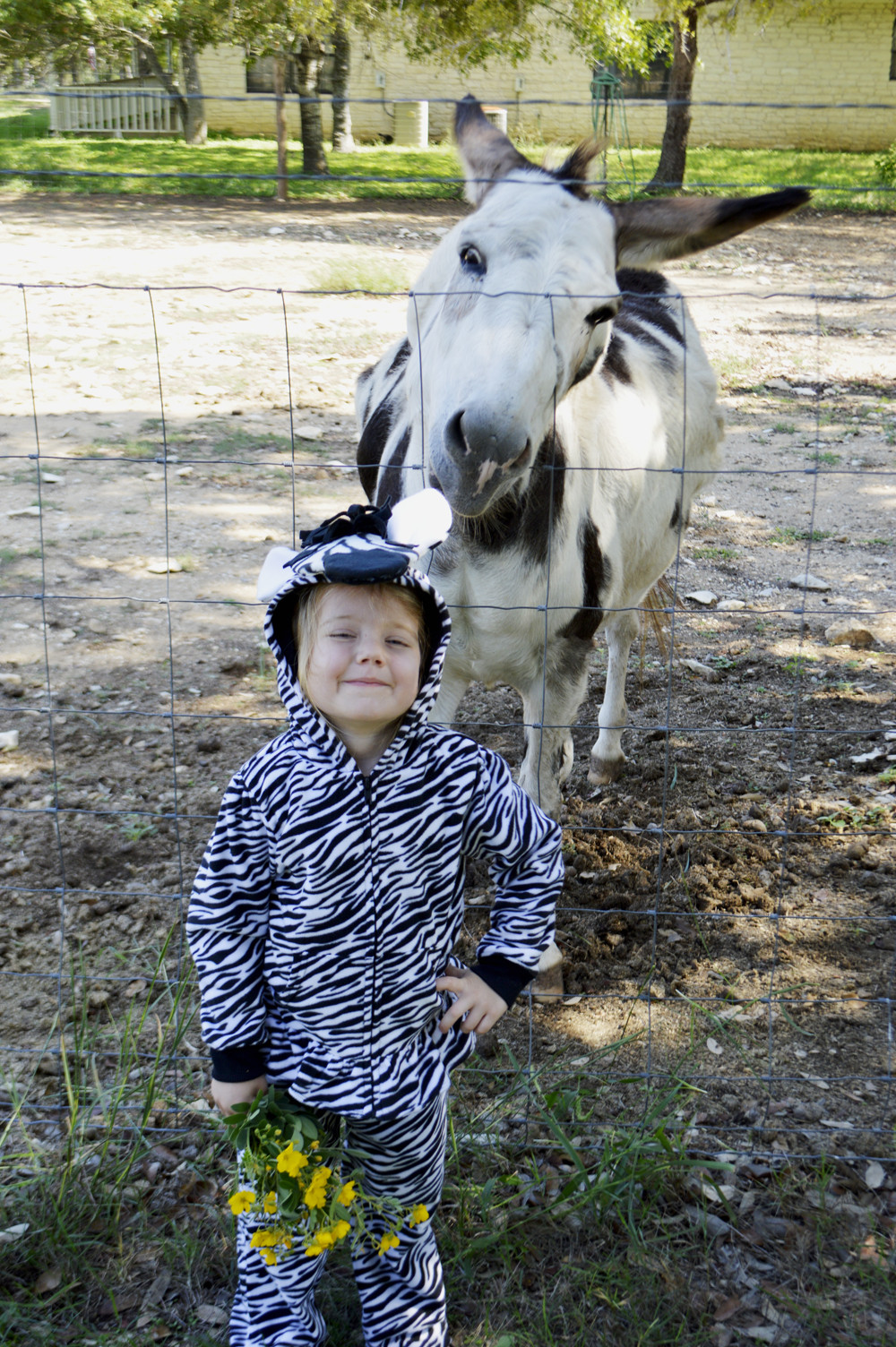 DIY Horse Costumes
 Tutorial Easy DIY Zebra Horse or Unicorn Costume